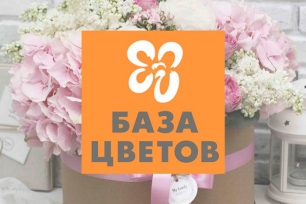 Сеть магазинов цветов «База цветов №1»